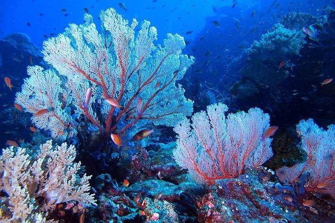 苹果2023财年在三星老家大赚 营业利润同比大增550%